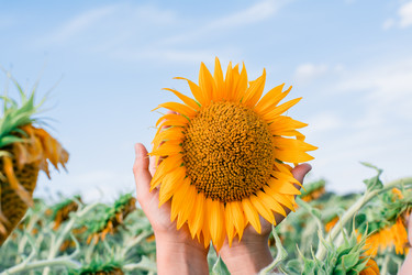 Similar image 21064909