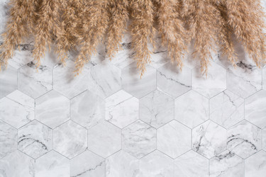 Similar image 21074609