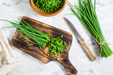 Similar image 21074739