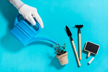 Similar image 21075581