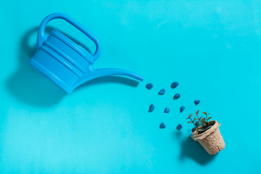 Similar image 21075582