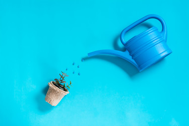 Similar image 21075587