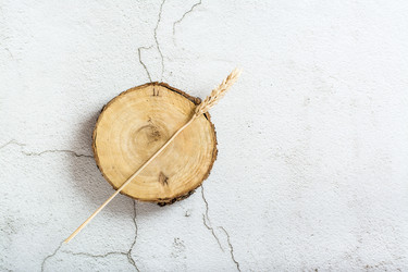 Similar image 21067456