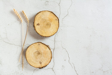 Similar image 21074628