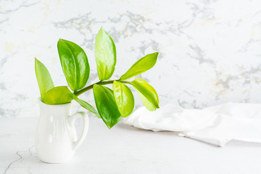 Similar image 21075617