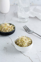 Similar image 21075902