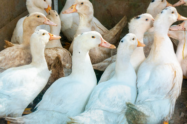 Similar image 21032722