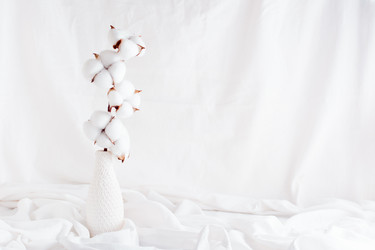 Similar image 21074808