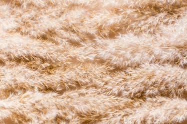 Similar image 21075652