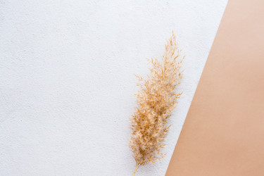 Similar image 21075655