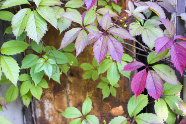 Similar image 21032730