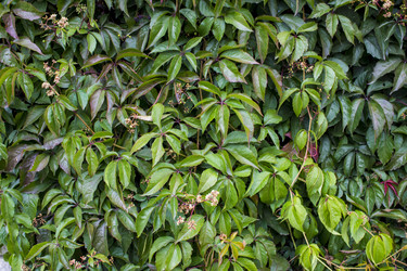 Similar image 21032735