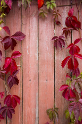 Similar image 21032740