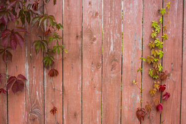 Similar image 21032741