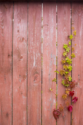 Similar image 21032742