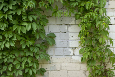 Similar image 21032743