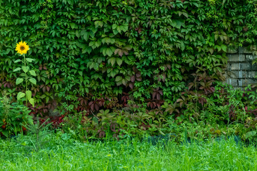 Similar image 21032745