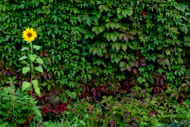 Similar image 21032746