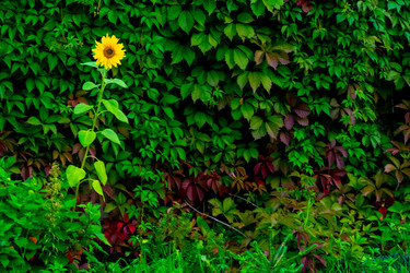 Similar image 21032749