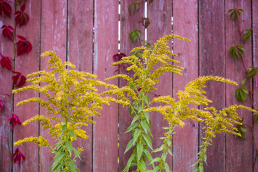 Similar image 21032751