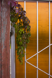 Similar image 21032753