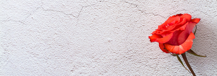 Similar image 21067498