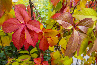 Similar image 21032756