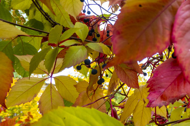 Similar image 21032760