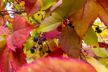 Similar image 21032761