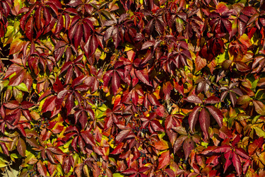 Similar image 21032763