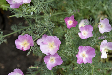 Similar image 21031725