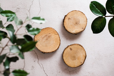 Similar image 21075686