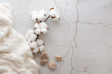 Similar image 21074605