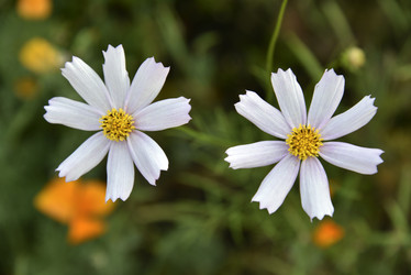 Similar image 21031727