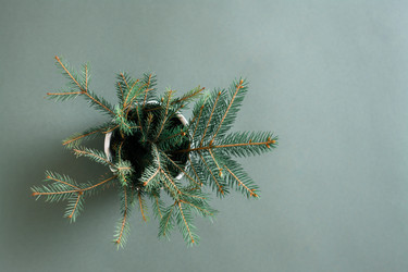 Similar image 21074869