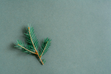 Similar image 21074875