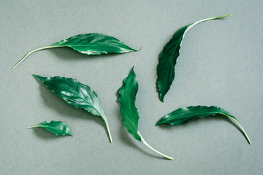 Similar image 21075113