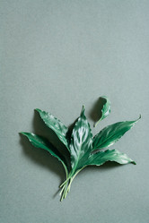 Similar image 21075703