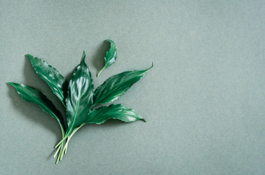 Similar image 21075709