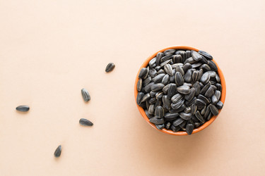 Similar image 21067536