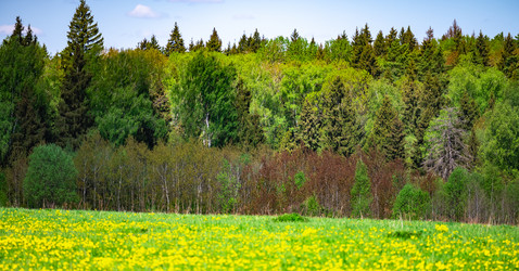 Similar image 21031509