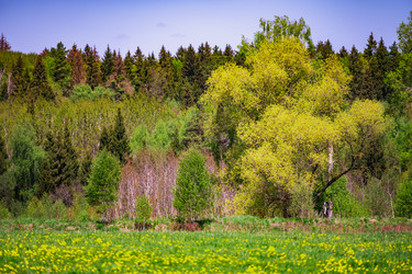 Similar image 21031511