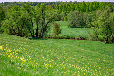 Similar image 21031513