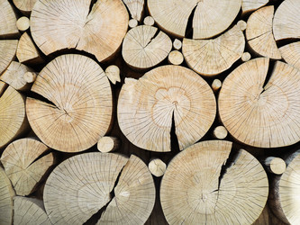 Similar image 21032776