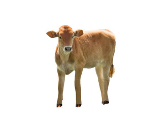 Similar image 21032779