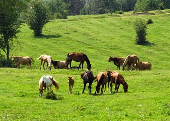 Similar image 21032793