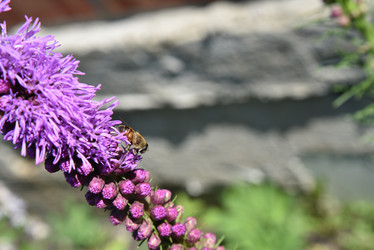 Similar image 21031745