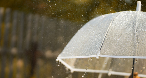 Similar image 21031746