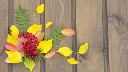 Similar image 21031750