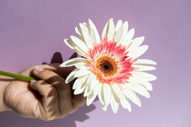 Similar image 21032921